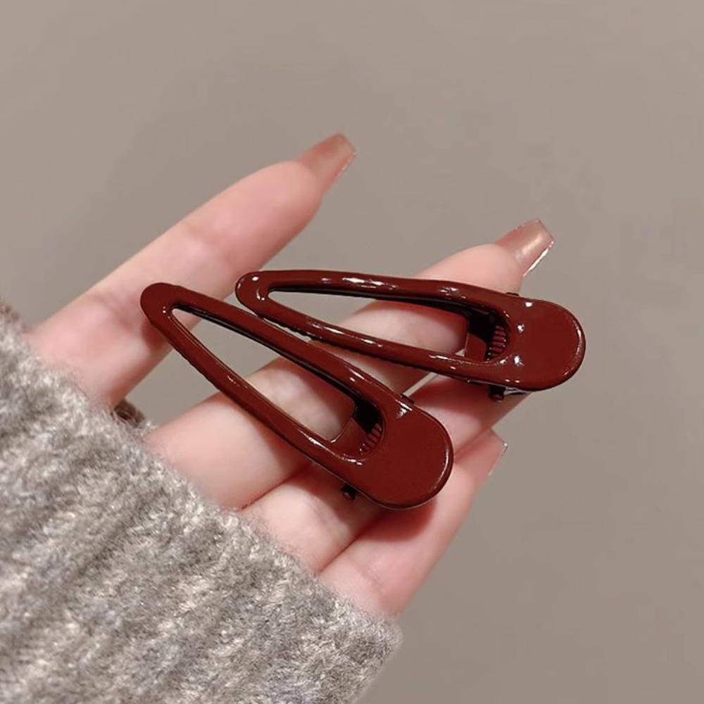 2 pinzas para el cabello, pinz - Hair Clips reseña y precio
